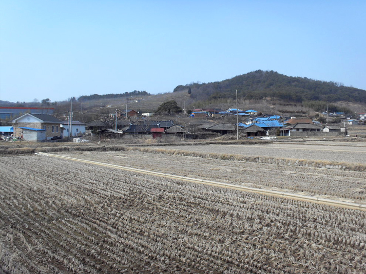 봉평마을전경